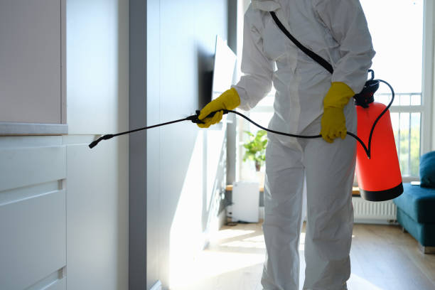 Best Mold Cleaning Services  in Brenham, TX