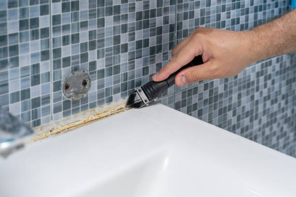 Best Attic Mold Removal  in Brenham, TX