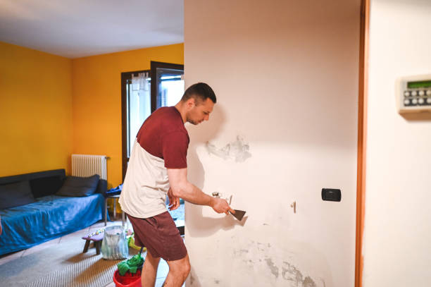 Best Mold Removal Company Near Me  in Brenham, TX
